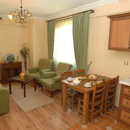 فندق Gure Saruhan Thermal 4*